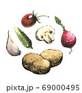 Hand-drawn watercolor image of vegetables. JPEG 69000495