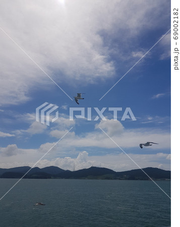 鳥 雲 観光 69002182