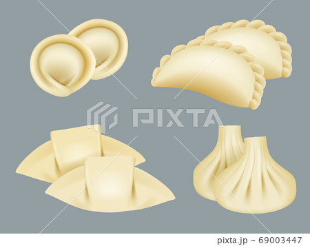 Dumplings. Products from dough wontons manti dumplings traditional asian cuisine realistic collection 69003447