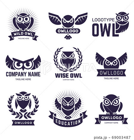 Owl Badges Flying Birds With Feathers Wild のイラスト素材