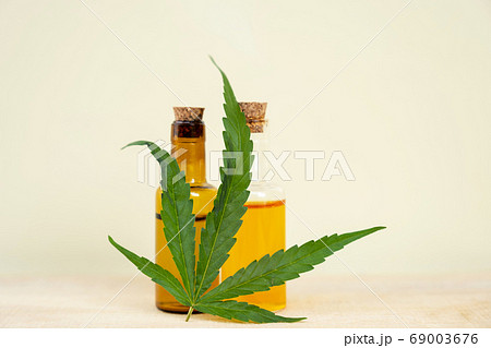 Hemp leaves and CBD oil. Alternative Medicine, Herbal Treatment concept Hemp leaves and CBD oil. Alternative Medicine, Herbal Treatment concept 69003676