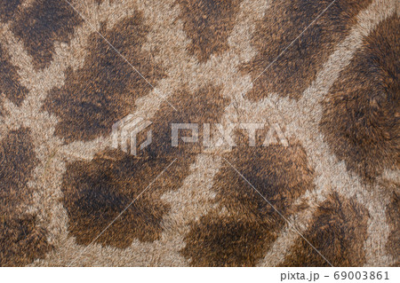 Texture, pattern on the skin of a giraffe Texture, pattern on the skin of a giraffe 69003861