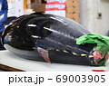 マグロの解体 69003905