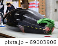 マグロの解体 69003906