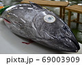 マグロの解体 69003909