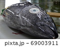 マグロの解体 69003911
