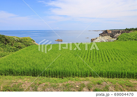 佐渡ヶ島の日本海の夏景色と水田 69004470