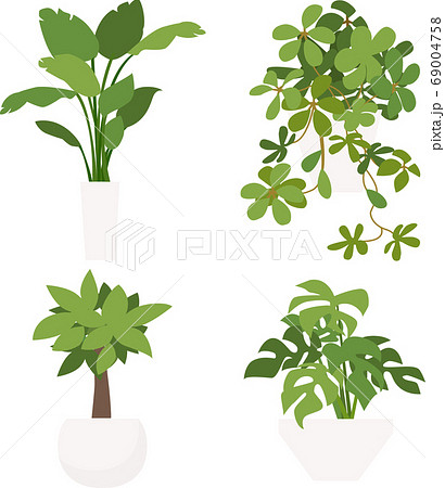 植物のイラストパターン 観葉植物 植木八 室内 ベクターのイラスト素材