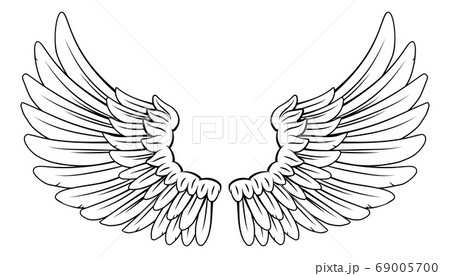 Wings Angel or Eagle Feathers Pair Illustration 69005700