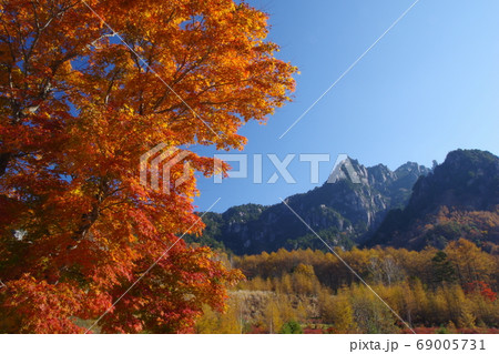 紅葉の瑞牆山 紅葉の瑞牆山 69005731