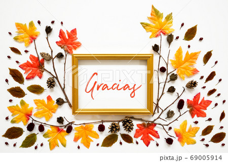 Colorful Autumn Leaf Decoration, Golden Frame, 69005914