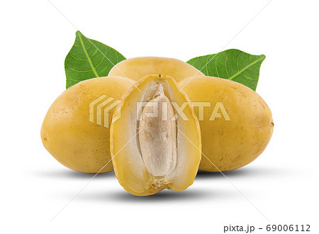 Date fruit an isolated on white 69006112