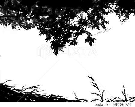 木々と木の葉の田園風景のシルエット 69006979