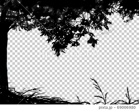 樹木和葉子的鄉村景觀剪影 樹木和葉子的鄉村景觀剪影 69006980