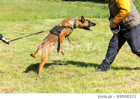 The instructor conducts the lesson with the 69008321