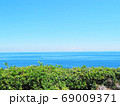 海  南国 リゾート 植物 69009371