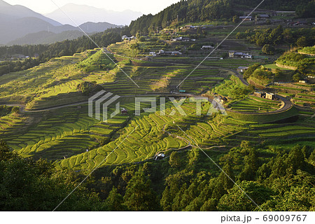 丸山千枚田 夕景(三重県熊野市紀和町) 丸山千枚田 夕景(三重県熊野市紀和町) 69009767