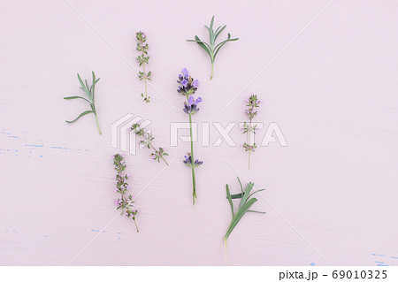 Blooming lavender and thyme herbs on pink table. Healthy herbal flowers and leaves pattern composition. Decorative floral background, web banner. Aromatherapy plants concept. 69010325