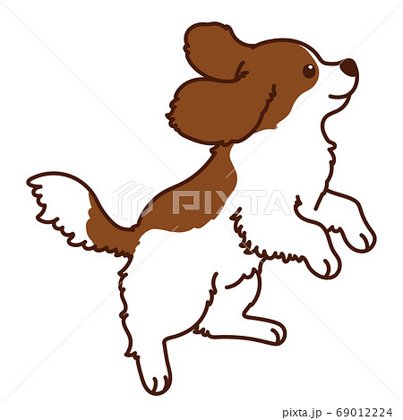 ジャンプする茶色のキャバリア キング チャールズ スパニエル 主線ありのイラスト素材