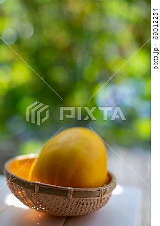 まくわうり　夏野菜 69012254