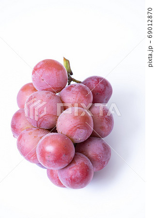 実はふっくらと丸くて大粒の赤いぶどう 69012870