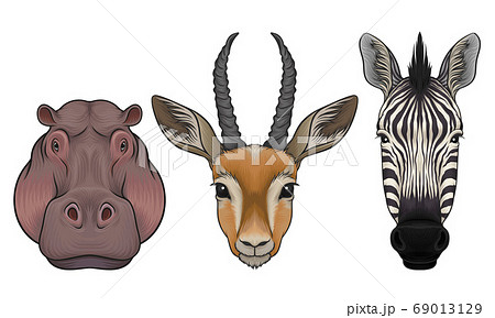 Furry African Animal Muzzle Isolated on White Background Vector Set 69013129