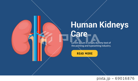 Lung human icon, respiratory system healthy lungs anatomy flat medical organ banner 69016876