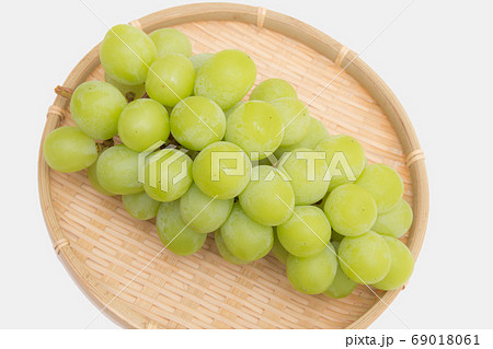 シャインマスカット 69018061