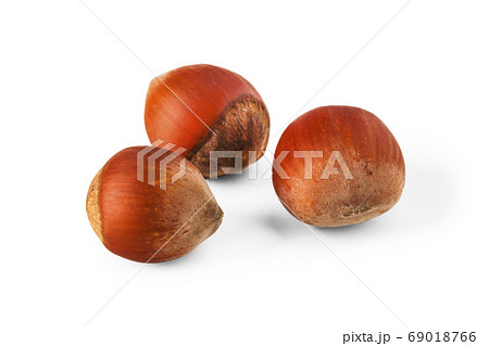 Hazelnuts Hazelnuts 69018766
