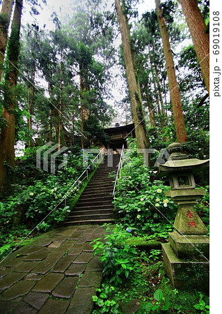 ご利益は宝くじ当選!?県境に鎮座する『ふくろう神社』鷲子山上神社 69019108