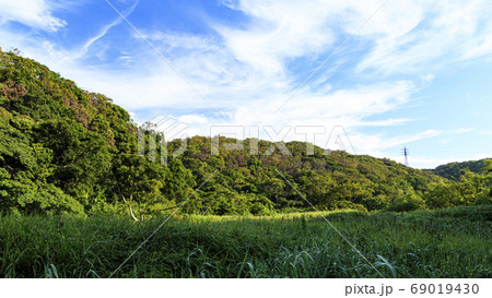 秋の草原関東の秘境小網代の森の晴れの写真素材