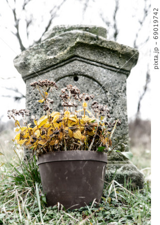 A ancient tombstone with withered flowers in a 69019742