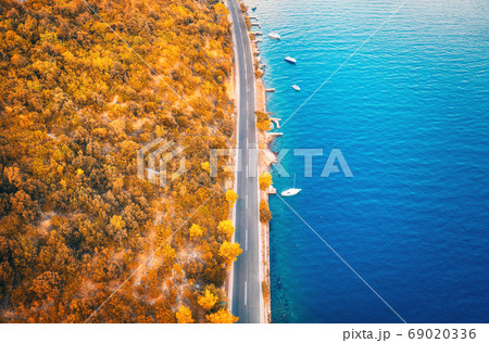 Aerial view of road in beautiful orange forest and boats in the sea at sunset in autumn 69020336