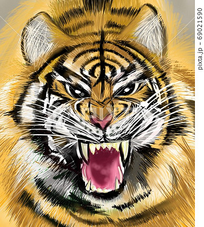 線で描く迫力が有る虎のイラスト素材