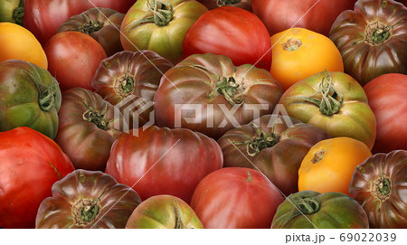 Heirloom Tomato 69022039