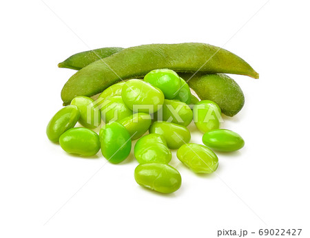 soybean seed on white background soybean seed on white background 69022427