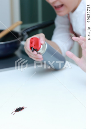 キッチンに現れたゴキブリを殺虫剤で撃退する主婦 69022738