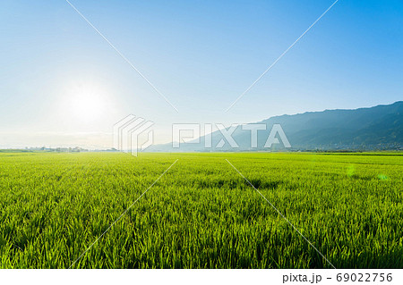 筑後平野　田園風景　朝日　日の出 69022756