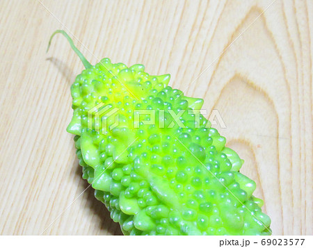 ゴーヤ ゴーヤ 69023577