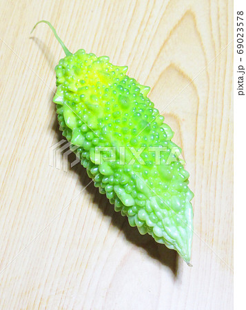 ゴーヤ ゴーヤ 69023578