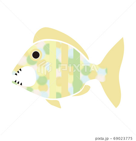 鯛　魚　イラスト　水彩　水玉 69023775
