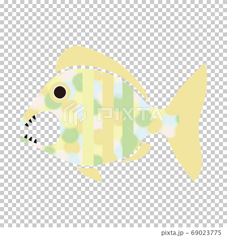 鯛　魚　イラスト　水彩　水玉 69023775