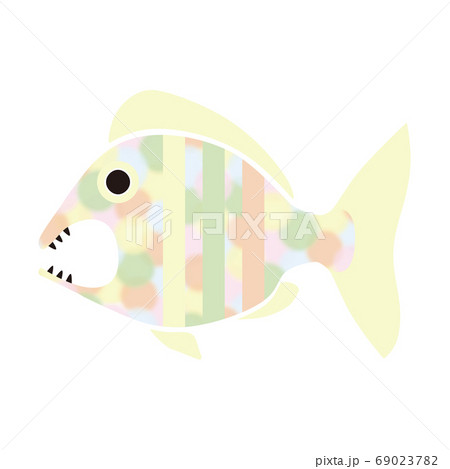 鯛　魚　イラスト　水彩　水玉 69023782