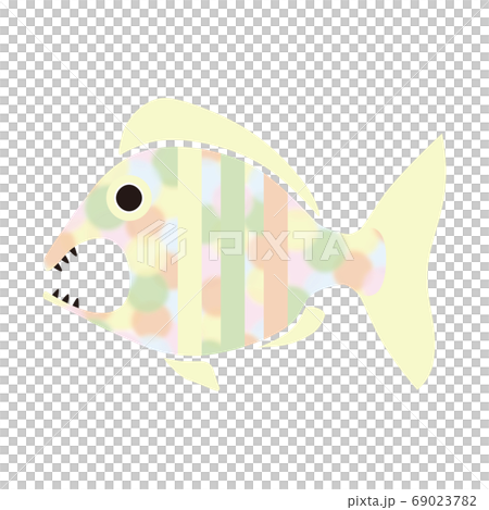 鯛　魚　イラスト　水彩　水玉 69023782