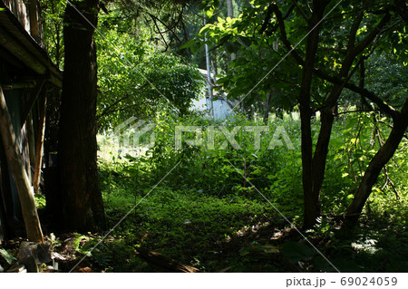 鳥取　四季の散歩　板井原集落 69024059