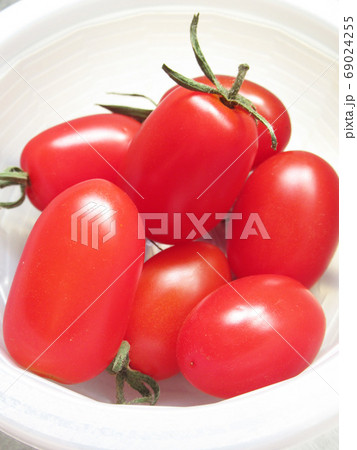 ミニトマト 69024255