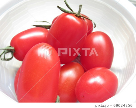 ミニトマト ミニトマト 69024256