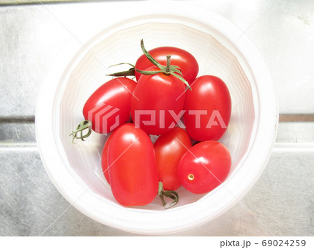 ミニトマト 69024259