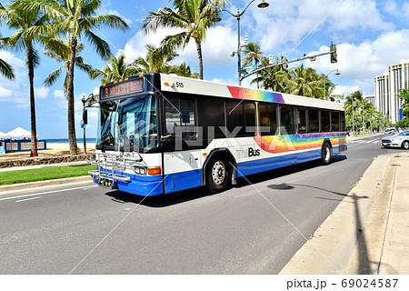 ハワイの休日 69024587