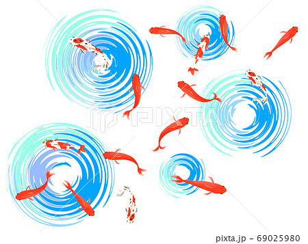 上から見た金魚のイラストのイラスト素材